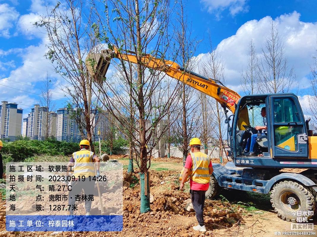 园林绿化的匠心构筑 从苗木培育到假山造景的施工现场实录