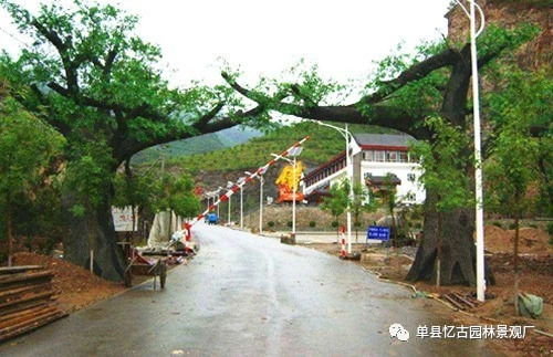 阜阳生态园大门制作价格解析 假山艺术与成本考量