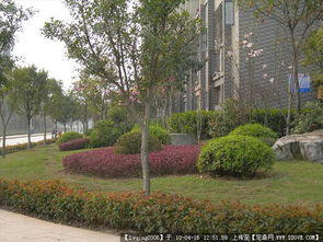 校园景观集锦 从实景照片到设计施工图纸的全景解析