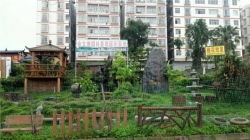 聚焦南宁园林景观建设 如何甄选专业正规的假山施工公司