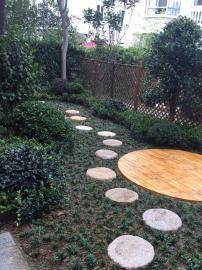 打造理想庭院 上海园林景观施工与改造的专业实践