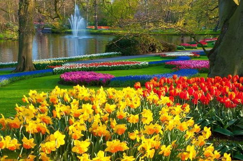 叠石成景，巧筑自然——园林假山设计施工的六个核心秘诀